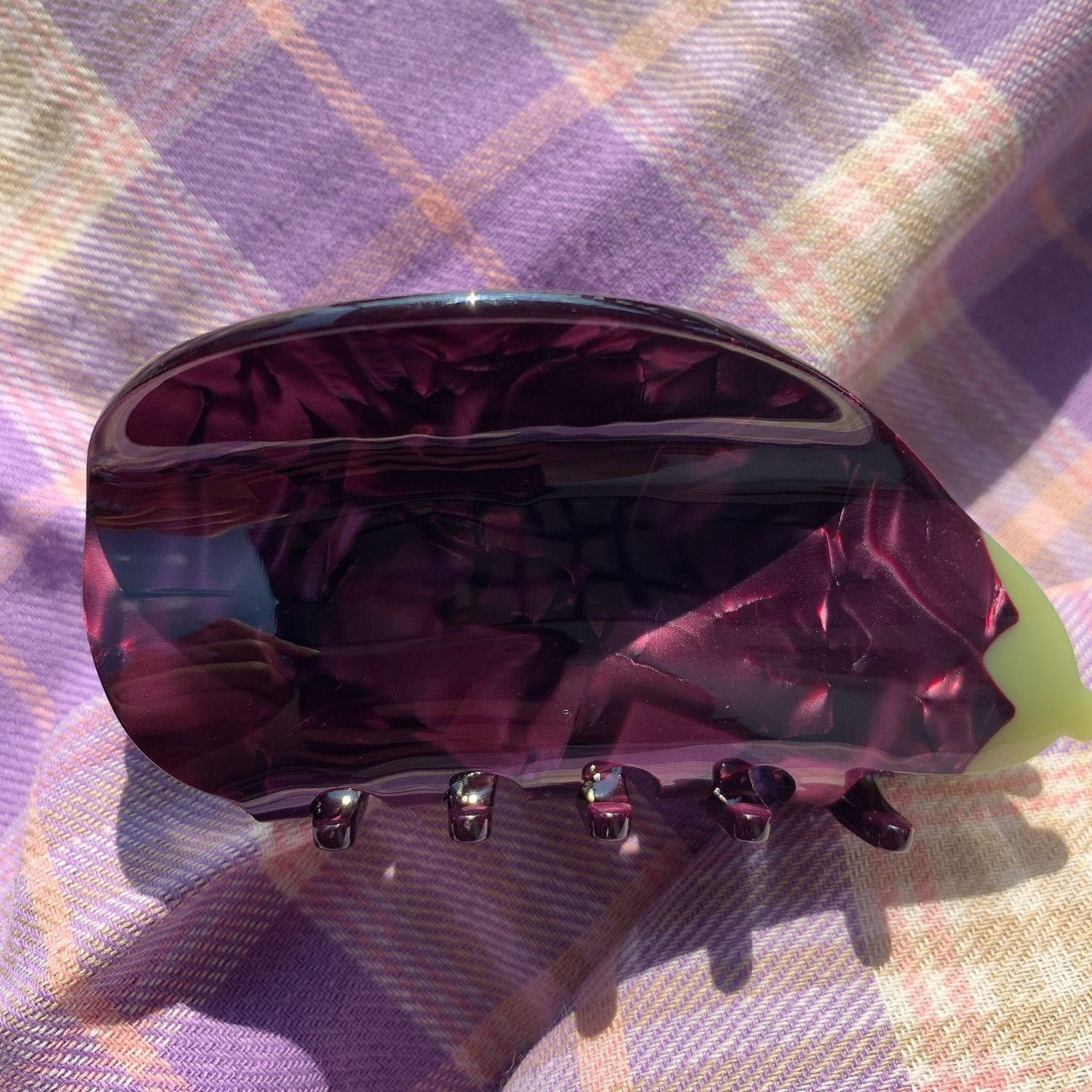 Fruity Claw Clips
