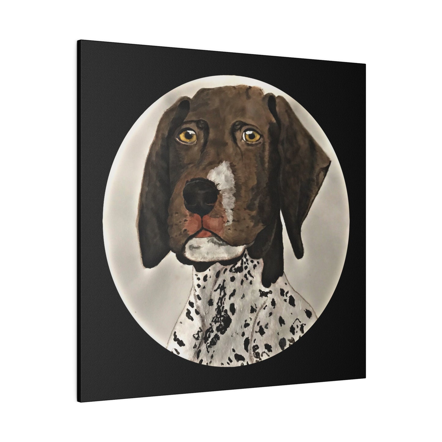 German Shorthaired Pointer, Matte Canvas, Stretched, 0.75"