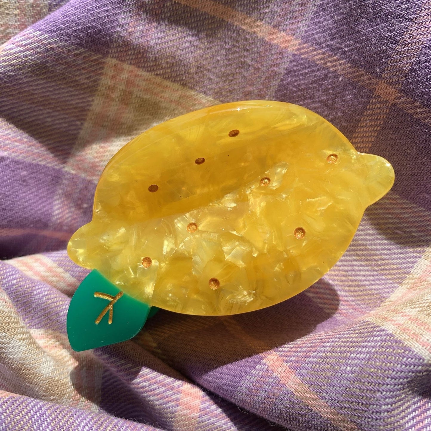 Fruity Claw Clips